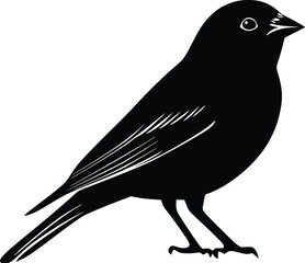 Obraz premium Black bird silhouette vector illustration, perched, detailed, simple, elegant design, wildlife, nature, avian, fauna, graphic, monochrome, printable, artwork, digital art,
