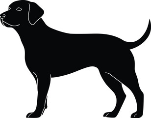 Black Labrador Retriever dog silhouette, standing, profile view, editable vector illustration
