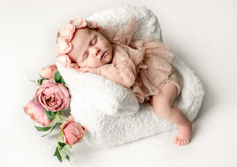 Newborn Baby Girl Sleeping In Tiny Chair During Studio Photoshoot