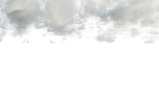 silhouetted shot of trees against an overcast sky.  The sky is predominantly grey with subtle variations in cloud density. The tree silhouettes are dark