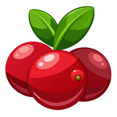 Simple Cranberry Cluster Illustration for Food Designs
