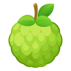 Clean Design Custard Apple Fruit Vector Isolated