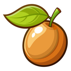 Simple Sapodilla Fruit with Slice Graphic