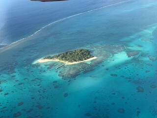 tropical sea and coral reef