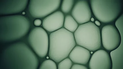 Wanddecoratie Ziekenhuis Abstract green patterned texture with organic cell-like structures  © BoldStock