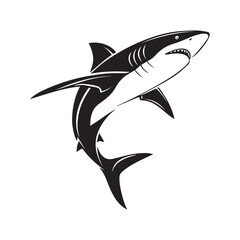 shark vector illustration