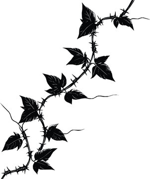 Silhouette of thorny vine with leaves, editable vector illustration, dark graphic design element