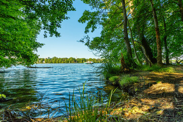 Urwald Gefühl am Ufer der Dahme, Langer See, in Berlin Köpenick.