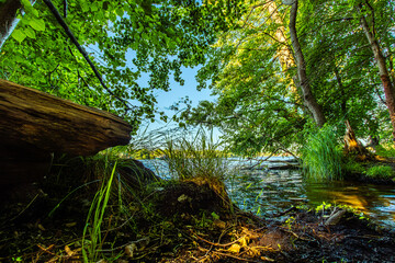 Urwald Gefühl am Ufer der Dahme, Langer See, in Berlin Köpenick.