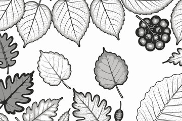 Obraz premium Autumnal Leaf & Berry Sketch - Detailed Botanical Illustration in Black and White - Nature Art with Intricate Leaf Veins