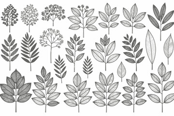 Botanical Line Art Illustration- Diverse Leaf and Branch Collection- Elegant Monochrome Nature Inspired Design- Plant Life Artwork- Foliage Elements Pattern