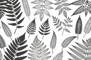 Fern Frond Illustration-Botanical Art Print-Vintage Ferns Design-Leafy Pattern for Nature Lovers-Black and White Fern Print-Fern Leaves Art-Minimalist Decor