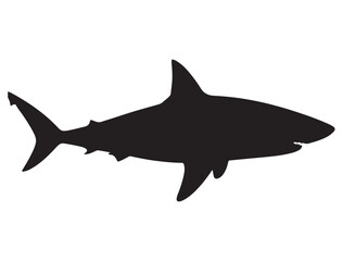 SHARK SILHOUETTE