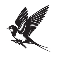 crow on a white background