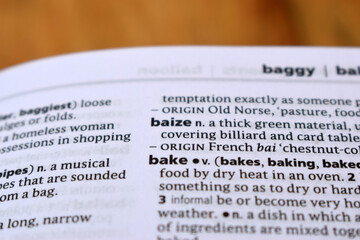 English Definition Dictionary Page Of Printed Word -  Baize Close Up