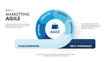 Agile methodology sprint life cycle chart. infographic software development. vector