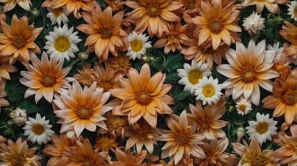 seamless image of colorful vibrant flowers, tileable, perfect for digital decorations, PowerPoint, and background
