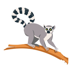 Lemur Sitting on Tree Branch Relaxing