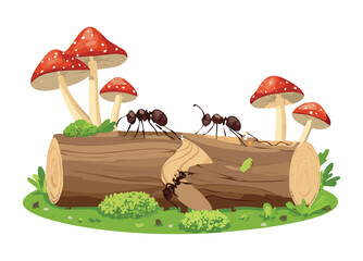 Ants Walking on Log with Mushrooms