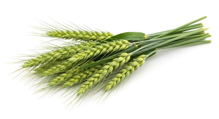 A bundle of green wheat stalks with seed heads and long bristles lies on a white surface