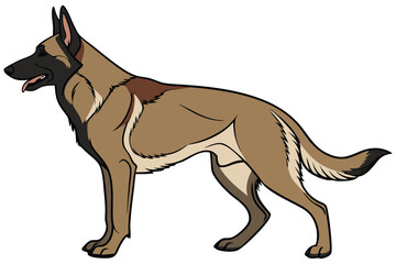 Elegant Belgian Malinois Illustration Displaying Distinct Breed Traits and Animated Style Characterized by Crisp Lines and Harmonious Color Palette