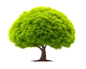 Lush green round bush tree with dense foliage and brown trunk isolated on transparency background, vibrant and healthy appearance, perfect for landscaping or nature concepts