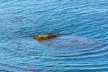 Rocky coast of Black Sea. Solitary rock covered in moss emerges from calm, blue waters, creating...