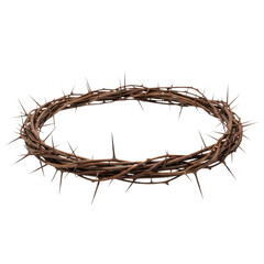 Fototapeta premium Crown of thorns. Symbol of the passion of jesus christ. Represents sacrifice, suffering, and redemption.
