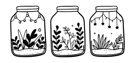 Three decorative jars containing different types of greenery with star accents in a hand drawn black and white illustration.