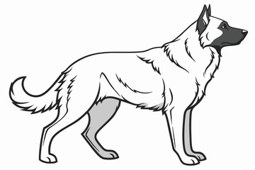Stylized Belgian Shepherd Malinois Illustration A Noble Canine with Alert Posture and Striking Black Markings in a Detailed Vector Artwork