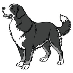 Majestic Bernese Mountain Dog Illustration with Detailed Fur and Distinct Markings Standing Proudly on a White Background