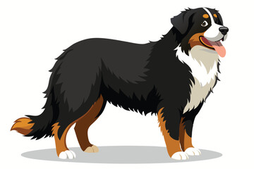 Cartoon Bernese Mountain Dog Standing Calmly with a Neutral Expression An Adorable Canine Companion in Vector Illustration