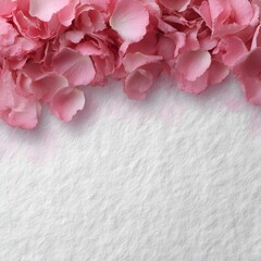 Fototapeta premium Soft pink rose petal border on white textured paper
