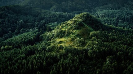 Lush green hilltop nestled in dark forest