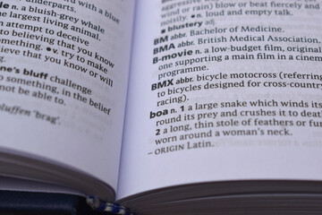 Close Up Of English Dictionary Page With Definition Word - Boa