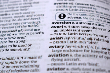 English Definition Dictionary Of Printed Word -  Avian Close Up