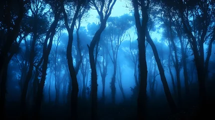 Poster Enchanting Mystical Fantasy Forest Silhouettes Trunk Image for Adobe Stock Photos