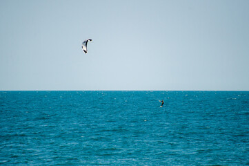 kitesurfing in the sea in Bugaria