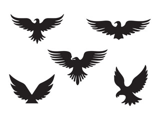 Fototapeta premium Five Black Bird Silhouettes Flying Against White Background