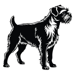 Schnauzer Dog Breed Illustration of a Confident Companion Known for Its Distinctive Beard and Energetic Personality on White Background