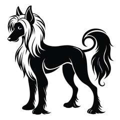 Elegant Chinese Crested Dog Silhouette Majestic Canine with Flowing Mane and Curled Tail Minimalist Pet Portrait Animal Art