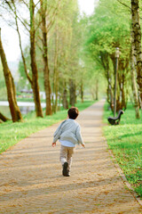 Fototapeta premium child walking on park pathway surrounded by lush green trees and sunlight. casual outfit suggests relaxed outdoor activity. perfect for concepts of childhood, exploration, nature, innocence