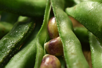 Group Of Hyacinth Bean or Same Ki Phalli Lablab Purpures, Also Known As Valor Papdi Beans, Indian...