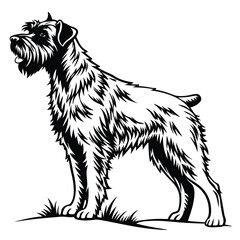 Schnauzer Dog Breed Illustration Detailed Black and White Image of a Confident Wirehaired Terrier in a Side Profile Stance