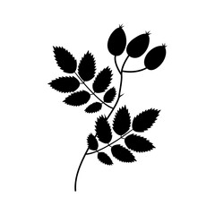Hand Drawn Silhouette Rose Hip Branch with Leaves and fruits Themes Minimalistic Design element idea