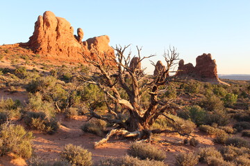 arches national park utah