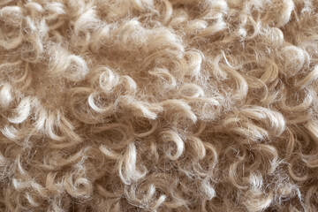 Beige curly wool texture. Soft natural material background in neutral tones