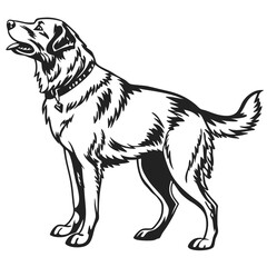 Majestic Labrador Retriever Standing Tall A Black and White Illustration of a Loyal and Intelligent Canine Companion