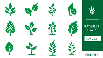 Illustration Collection of various green leaf icons vector AI SVG 
