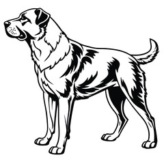 Majestic Black and White Dog Illustration Standing Tall A Canine Silhouette of Breed and Loyalty Showcased in Striking Detail